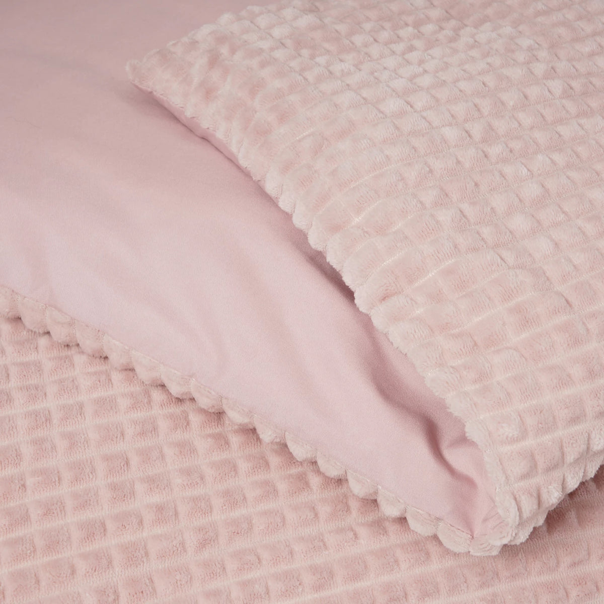Teddy - Roze