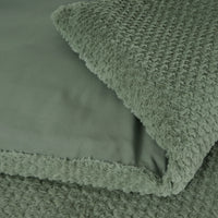Teddy - Groen